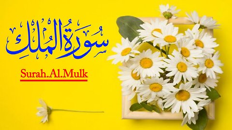 Beautiful Recitation Surah Mulk / Best Reciter Qari Shahid Mahmood multani