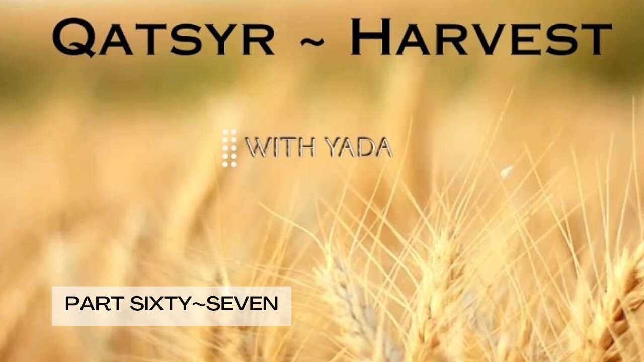 Qatsyr ~ Harvest Part Sixty~Seven 11 August 2025