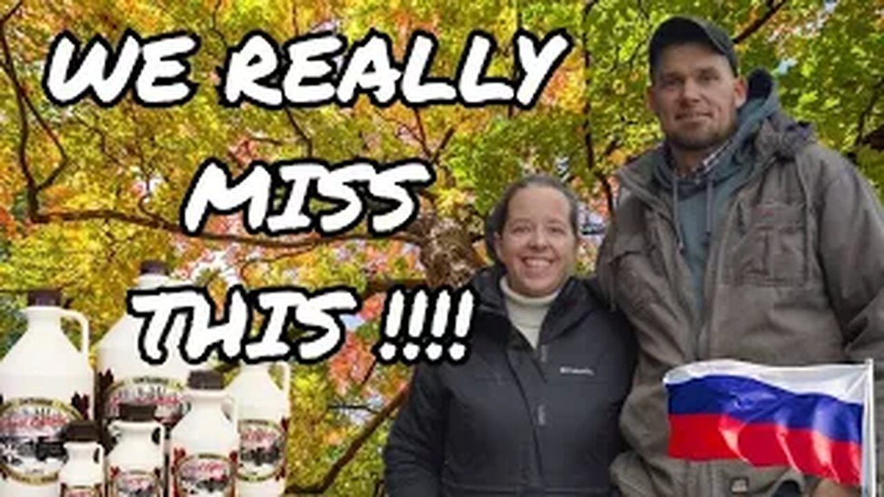 Canadian MAPLE Syrup #31