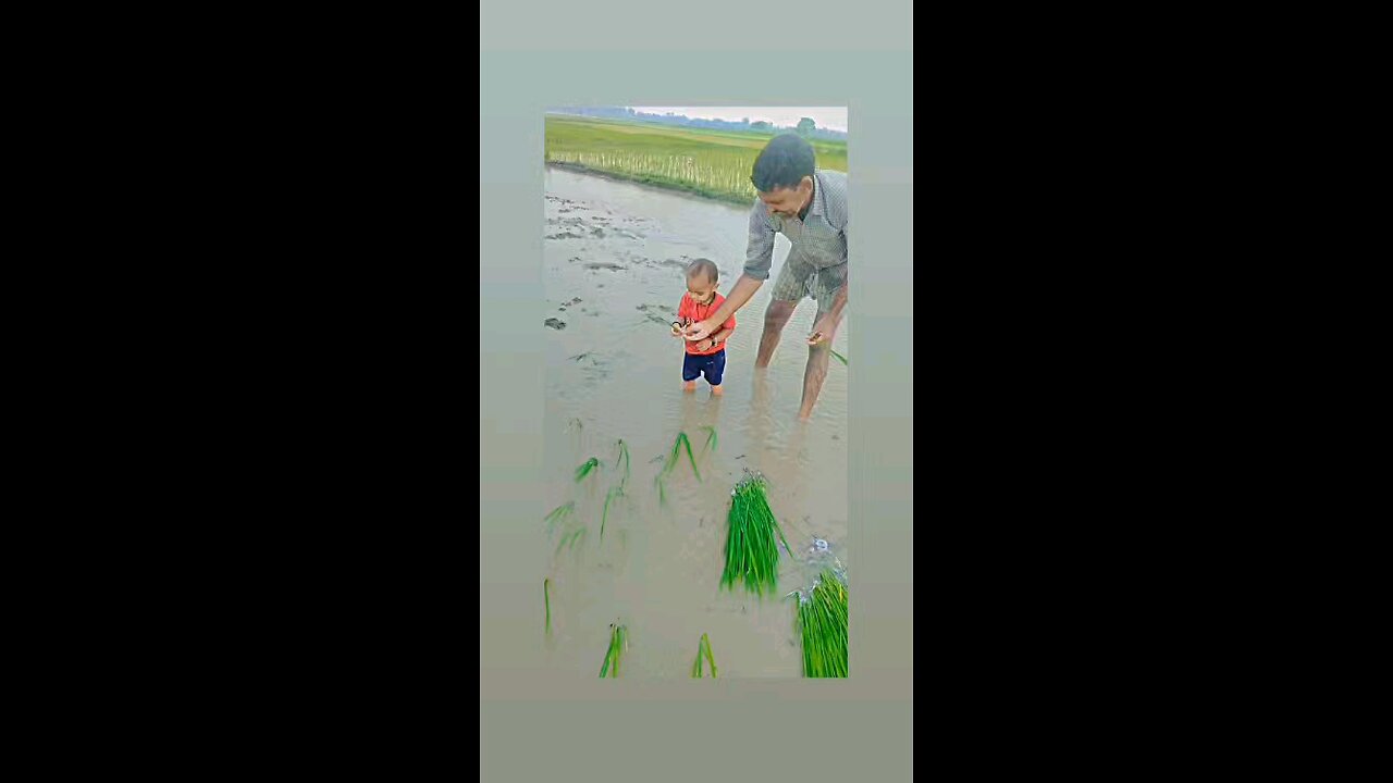 लवली विडिओ