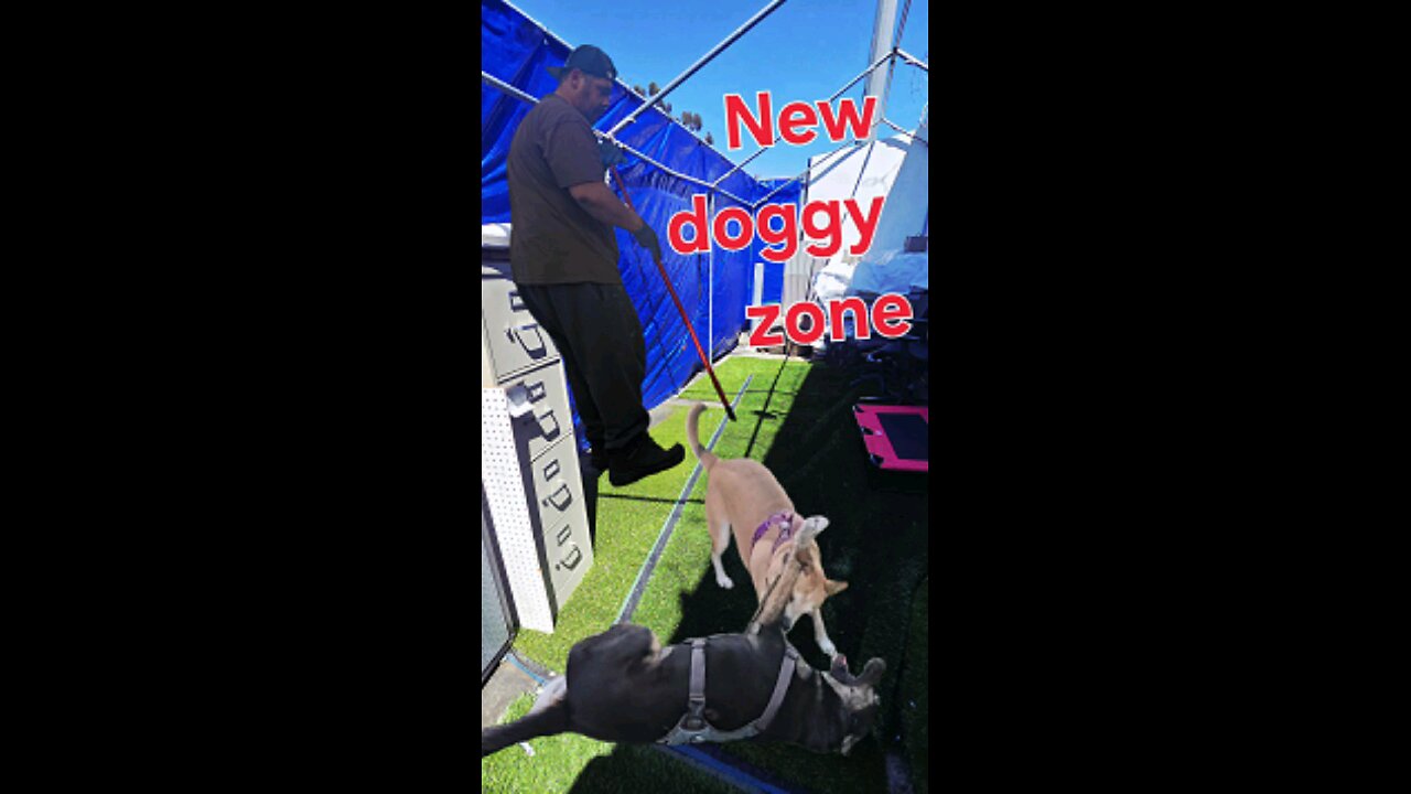 Cleaning up the back of the shop for the dogs