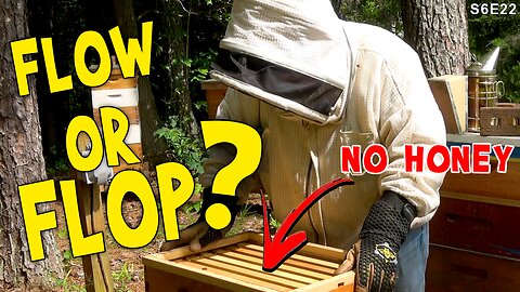 Is the Nectar Flow Over? | Checking boxes and I don't like what I see.