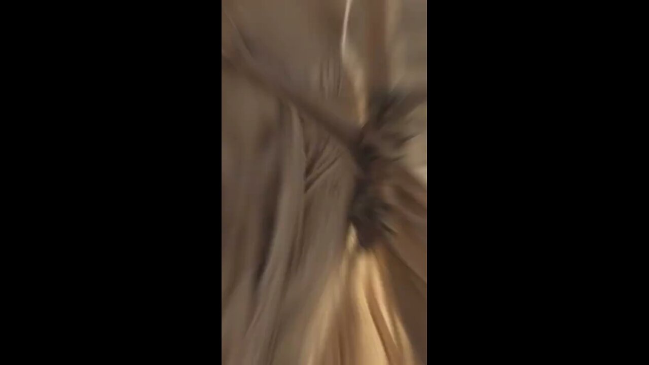 Desert Storm