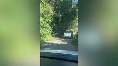 Daring driver reverses at speed along narrow winding mountain road