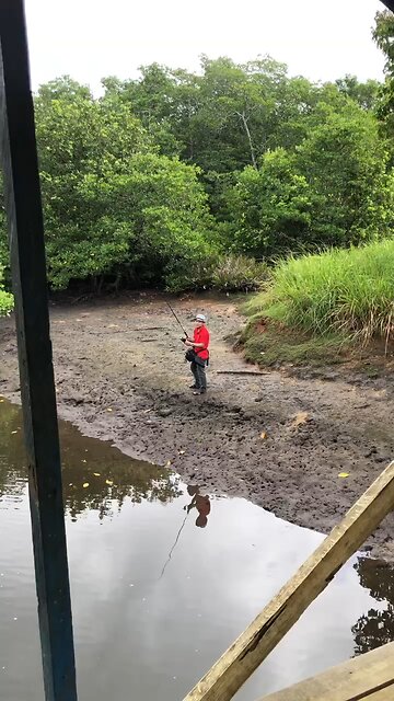 fishing port crocodile