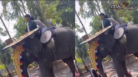 വെറുതെയല്ല കേരളത്തിൽ ആനകൾ ഇടയുന്നത്, ഇതായിരുന്നു കാരണം _ Elephant attack compilation kerala
