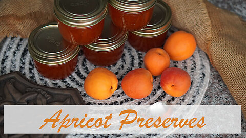 Apricot Preserves Canning Recipe