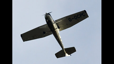 TERRORIST WINGED MONKEY TOM HONEYMAN UNSAFE FLY REPORTS: 41973, 74