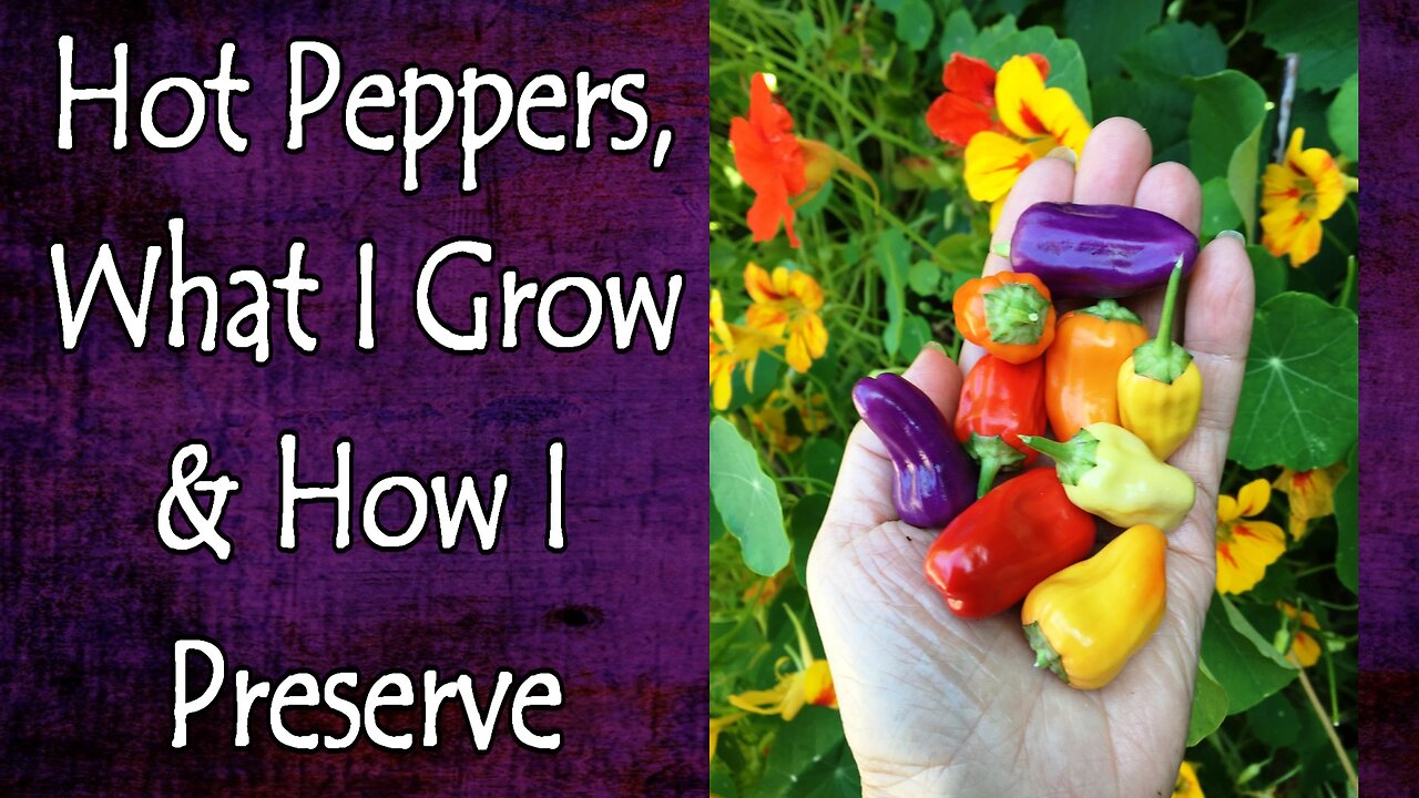 Hot Peppers, What I Grow and How I Preserve