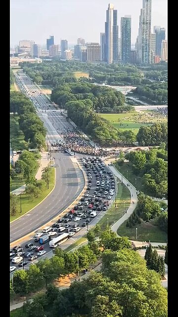 Citizen Free Press - ANTIFA AND ILLEGALS SHUT DOWN MAJOR CHICAGO TRAFFIC.