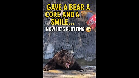 What Happens When You Give a Bear Caffeine?