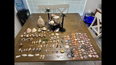Beach Finds 8/26/2025 | 4K