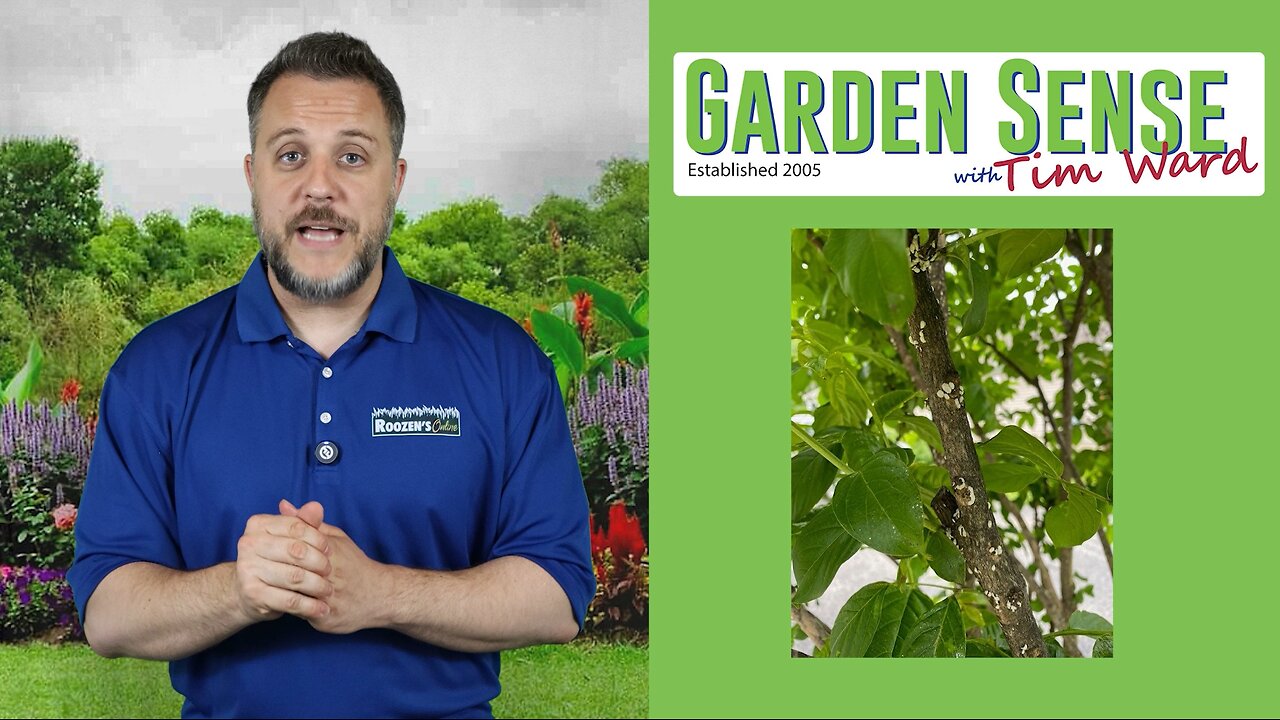 Garden Sense with Tim Ward - 06.11.25