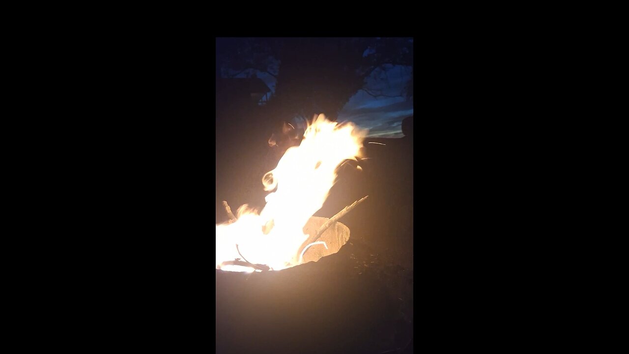 Thursday Afternoon Walk And Talk!