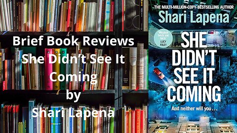 Brief Book Review - She Didn't See It Coming by Shari Lapena
