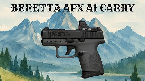 Beretta APX A1 Carry - First Thoughts and Impression (Accuracy, Function, Economy)