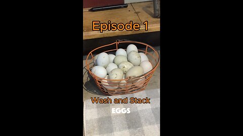 WASH AND STACK EGGS EP.1 SE.1