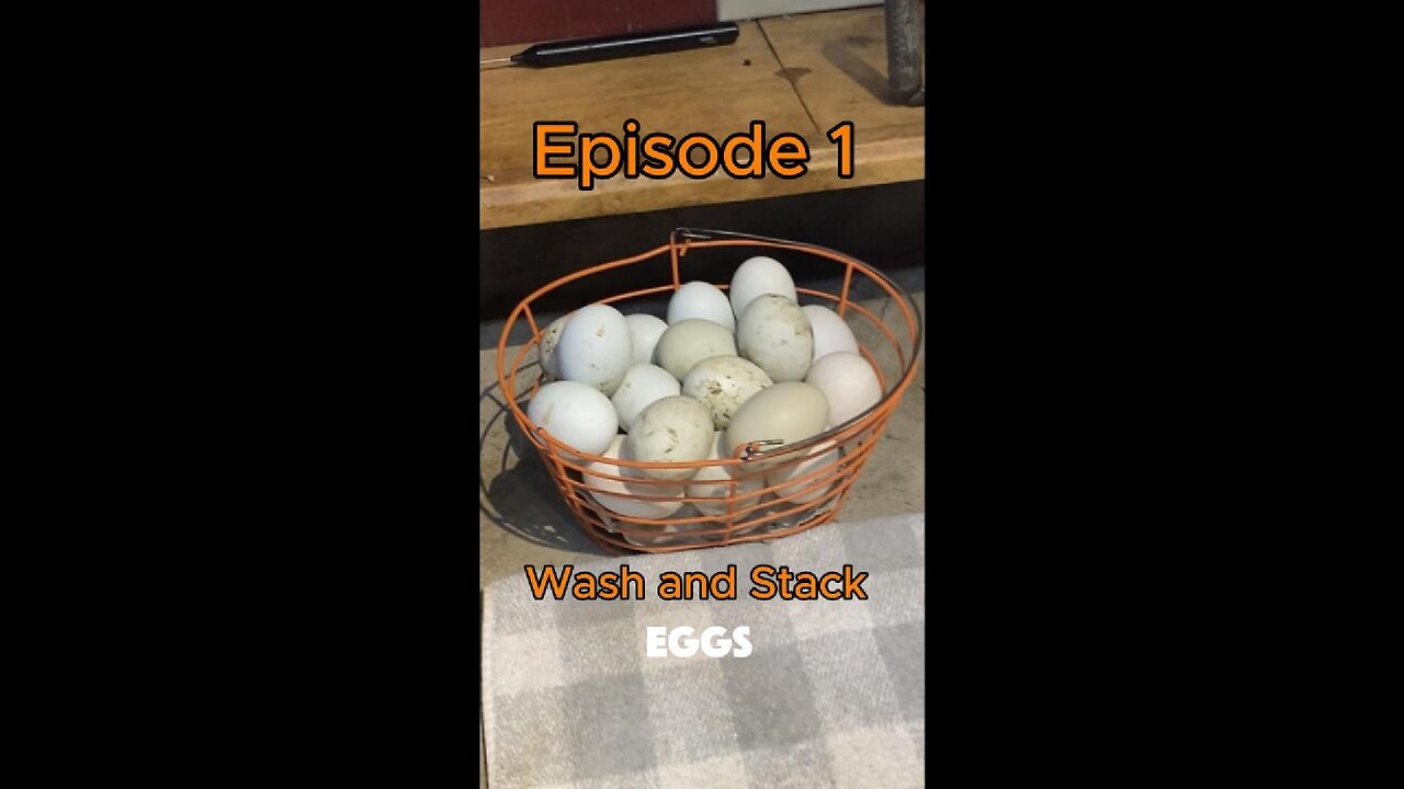WASH AND STACK EGGS EP.1 SE.1