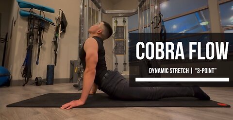 Cobra Flow | Dynamic Stretch : “3-Point”