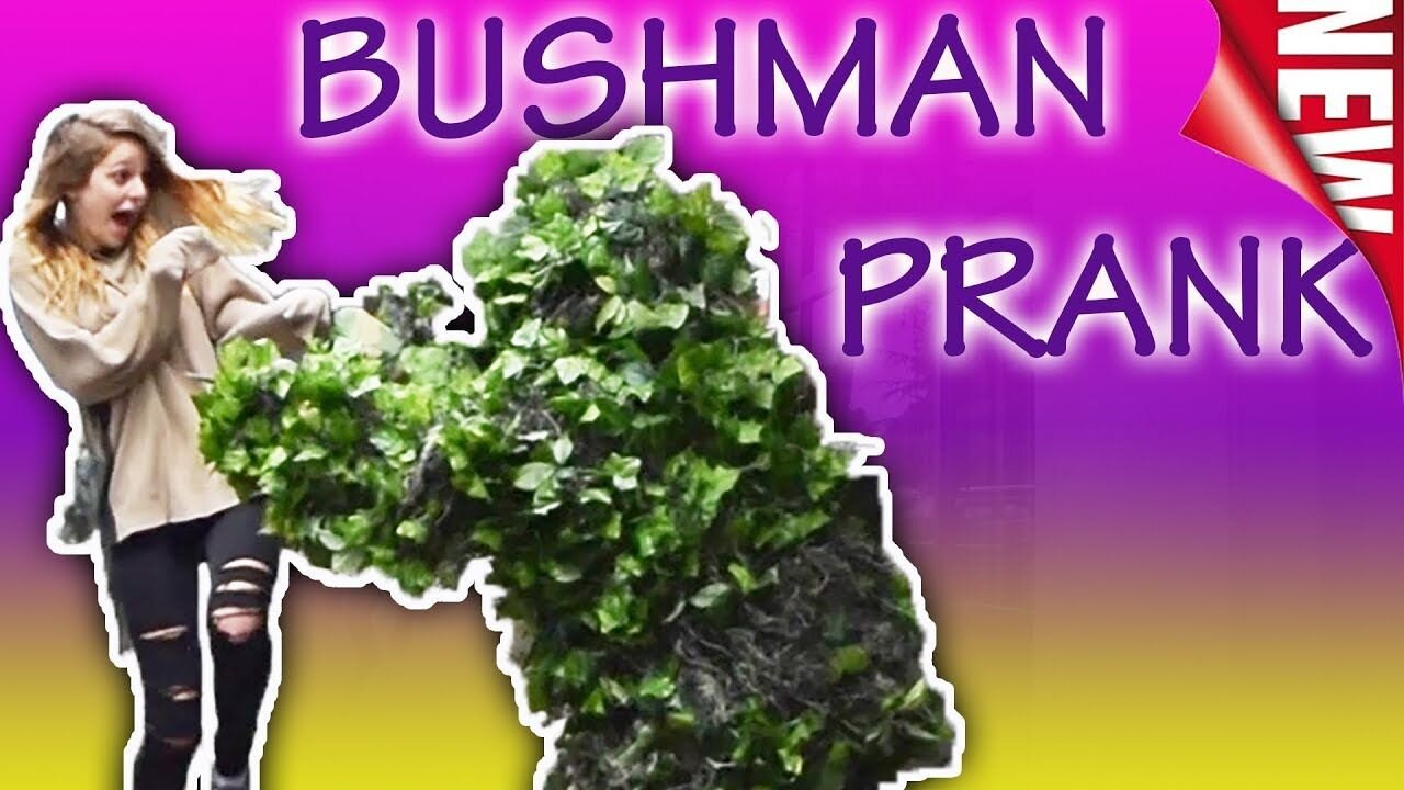 BUSH 🪴 GONE WILD