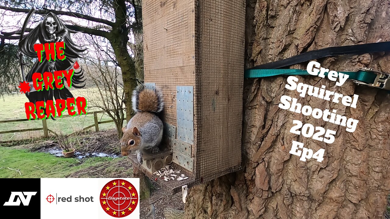 Grey Squirrel Shooting 2025 Ep 4