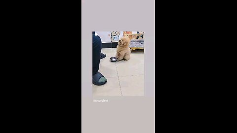 ओ खाना वाना ता दे देयो