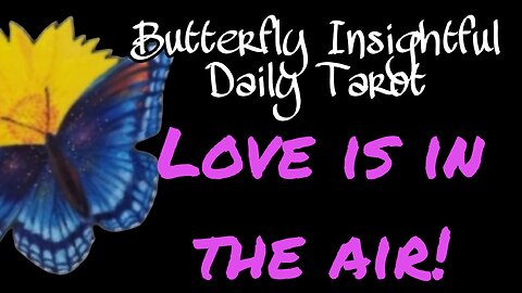 Butterfly Insightful Daily Tarot - TOP TIPS TO SUCCESSFULLY FIND YOUR SOULMATE!