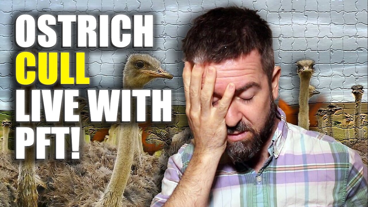 Universal Ostrich Farm CULL IMMINENT - Live With PFT!!