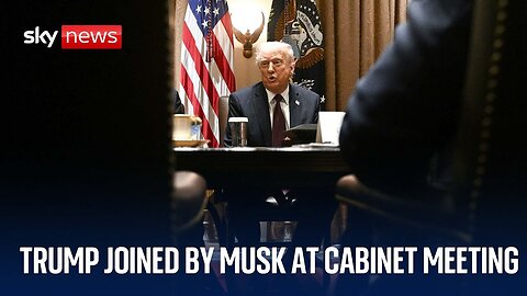 Elon Musk joins Donald Trump at cabinet meeting | Watch in full