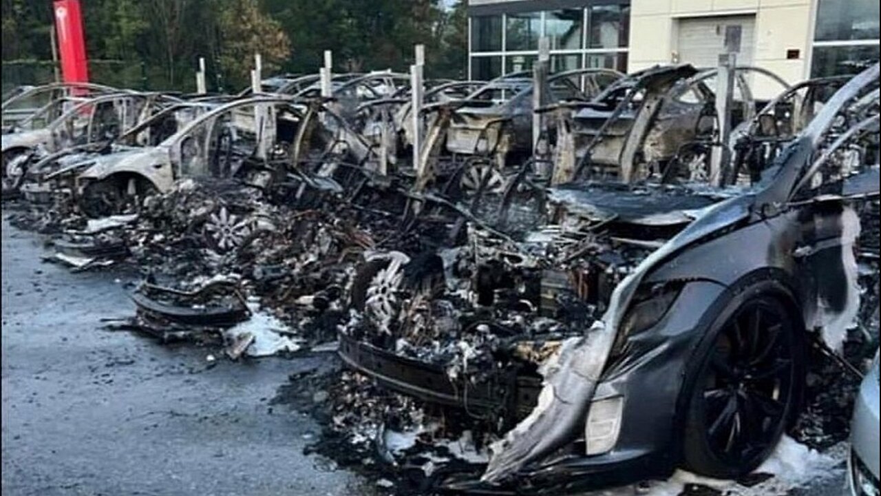 Hippies Burn Electric Cars to Save Environment