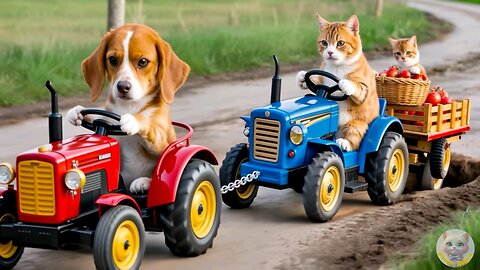 Mama Cat and Kitten stuck on a broken road, but Puppy saves them. 🐶🐱 Back home, they cook him a meal