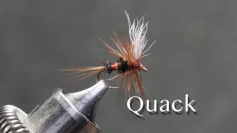 Quack, a founding fly popularized by Walt and Winnie Dette