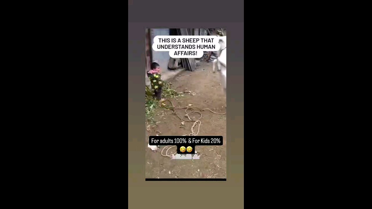 लवली विडिओ