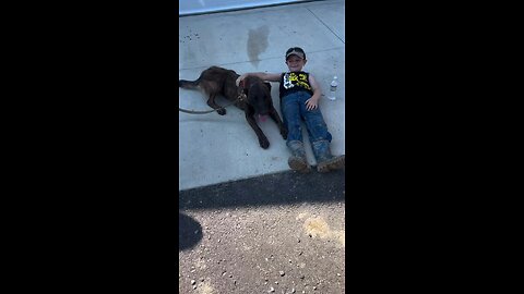 This Dog Guards Your Kids. And Destroys Threats
