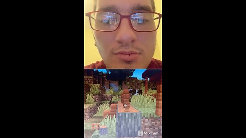 #playingminecraft