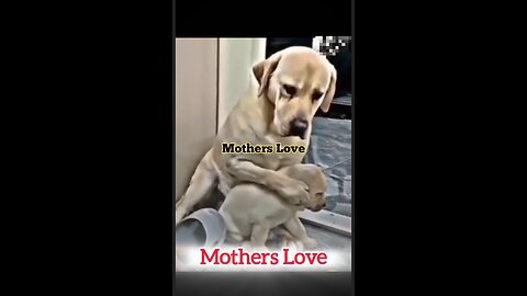 Mothers Love