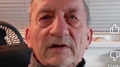 We Are Electromagnetic Beings and About Bees - Reinhard Stanjek