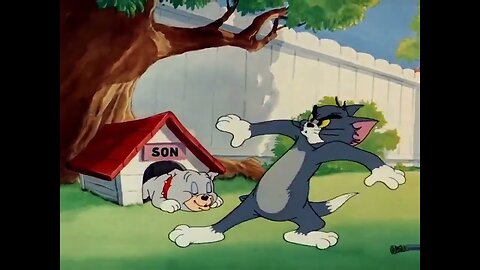 When a bulldog threatens Tom to keep away from his puppy.