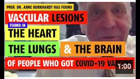 "Vascular Lesions in Heart, Lungs, and Brain Caused by COVID-19 Vaccine"