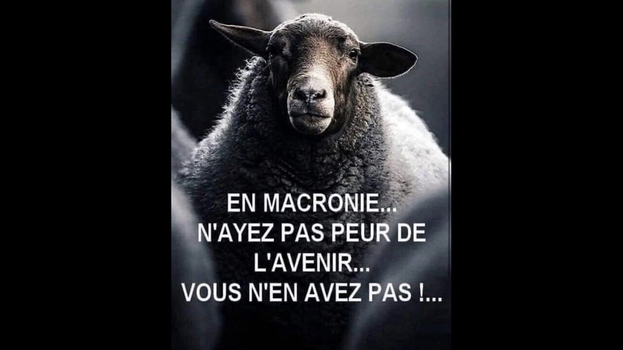 💥💥Live Actu et divers 29.04.2025💥💥