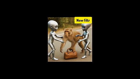 Monkey enjoying with his friends