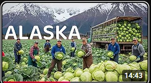 Millions Of Tons Of Vegetables, Fruits And Fish In Alaska Are Harvested This Way