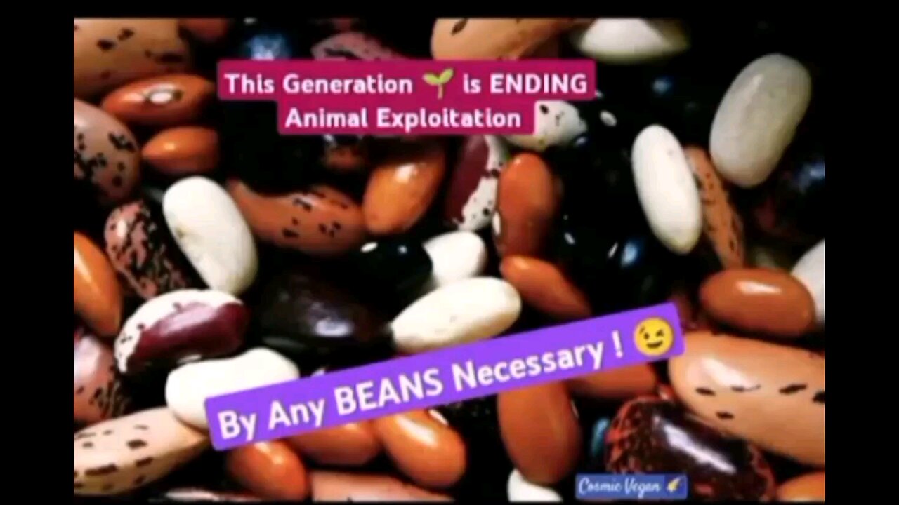 BY ANY BEANS NECESSARY 😉😂🔥🫘🫘🫘