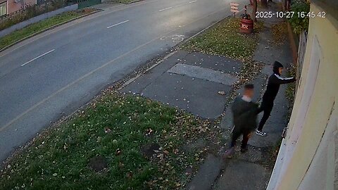 Így zaklatják tarcalon a liberál prosti cigányok a nem liberálisokat!!!