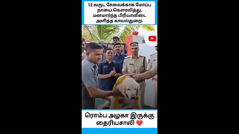 ரொம்ப அழகா இருக்கு தைரியசாலி