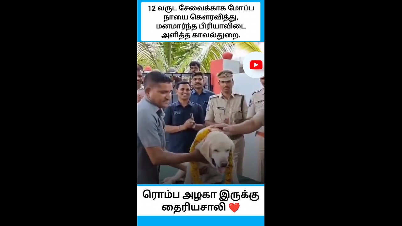 ரொம்ப அழகா இருக்கு தைரியசாலி