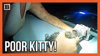 Officer Saves "Piper" the Kitten