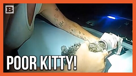 Officer Saves "Piper" the Kitten