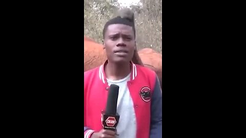 Elephant Grabs News Anchor’s Face on LIVE TV