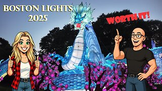 🎇 “Boston Lights 2025: Step Into a Forest of Sparkling Dreams ✨🌲”